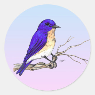 Rond Sticker Bluebird