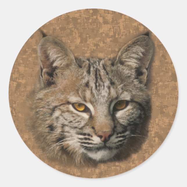 Rond Sticker Bobcat (Devant)