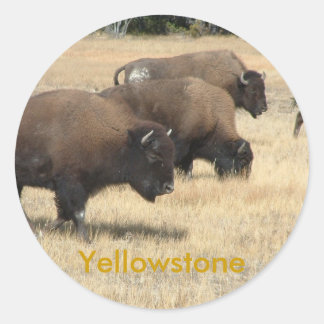 Rond Sticker Buffalo Yellowstone