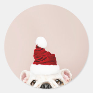 ROND STICKER BULLDOG DE NOËL