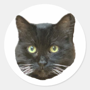 Rond Sticker Buster