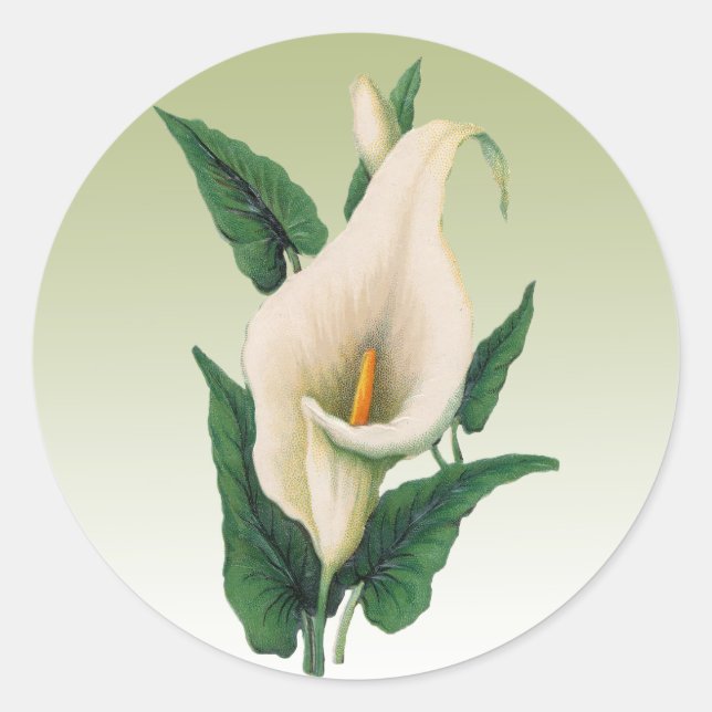 Rond Sticker Calla Lilies (Devant)
