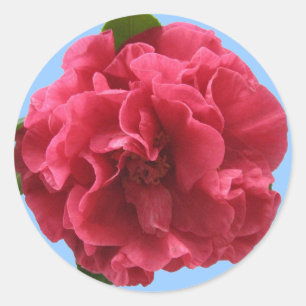 Rond Sticker Camellia