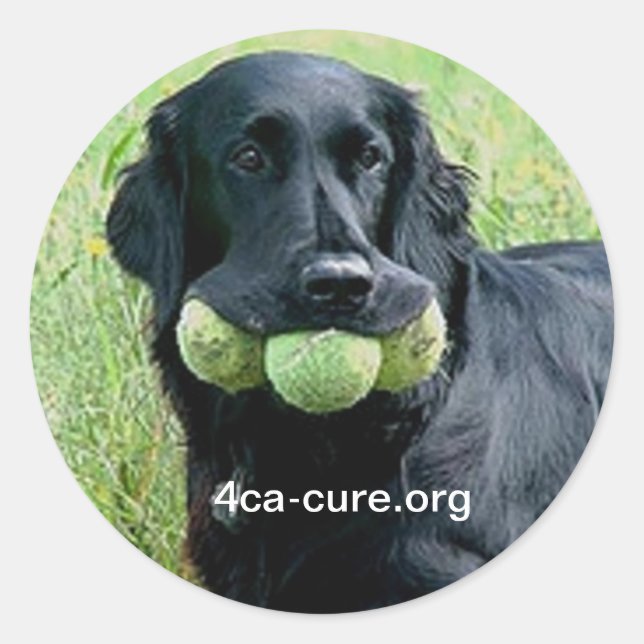 Rond Sticker Casey (Devant)