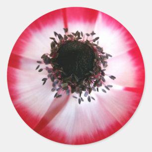 Rond Sticker Centre Fleur Rouge