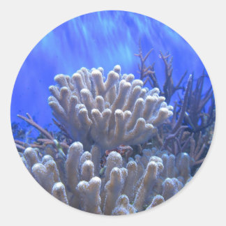 Rond Sticker Coral Reef
