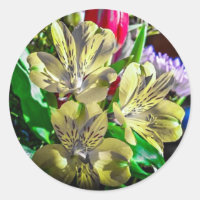 Sticker couleur Pop