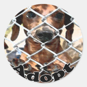 Rond Sticker d'adoption