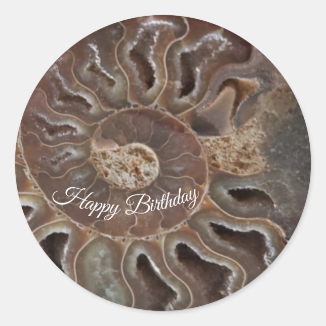 Rond Sticker d'anniversaire Fossil Ammonite Shell (Devant)