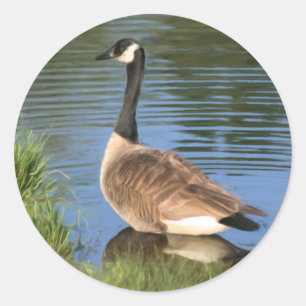 Rond Sticker d'art animal d'oie du Canada