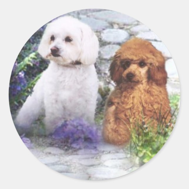 Rond Sticker de caniche Hydrangeas (Devant)