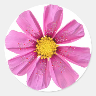 Rond Sticker de chimie des fleurs