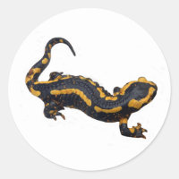 Sticker de la salamandre de feu