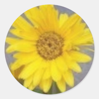 Rond Sticker de marguerite jaune