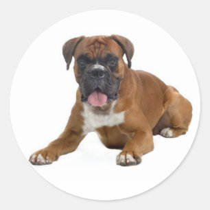 Rond Sticker de salutation de Chien Chien Cochon Love