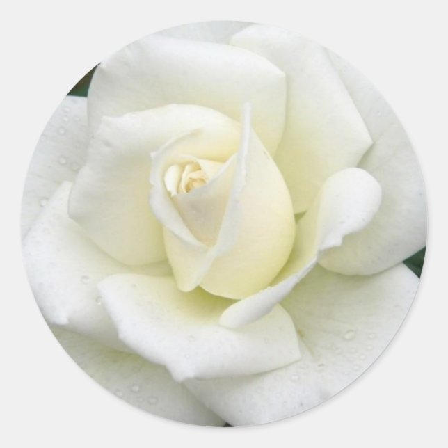 Rond Sticker de significations roses (Devant)