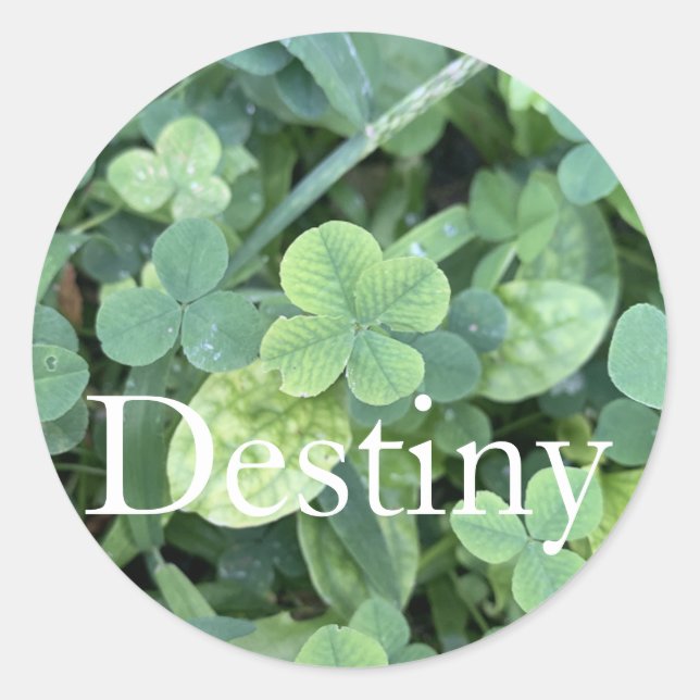 Rond Sticker Destiny  (Devant)