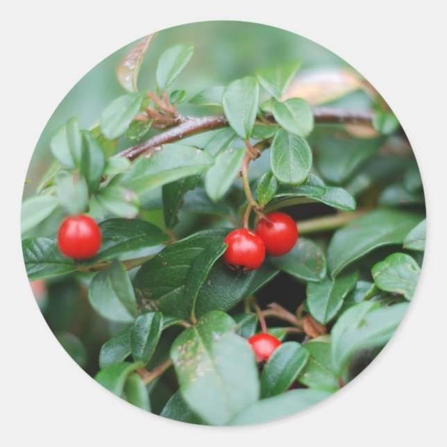 Rond Sticker d'été (Devant)