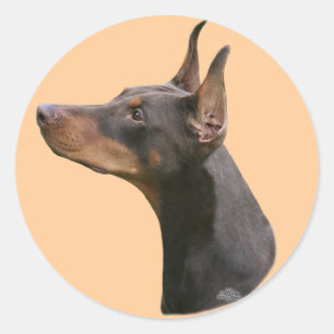 Rond Sticker Dobermann Pinscher - rouge/noir