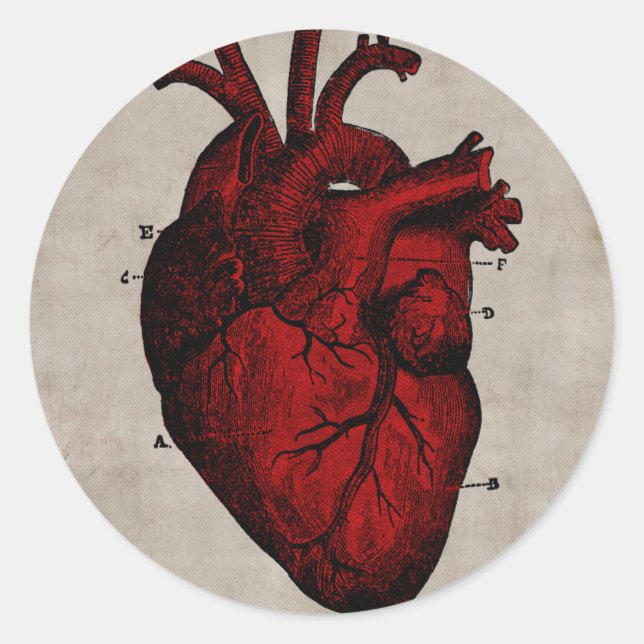 Rond Sticker du coeur humain (Devant)