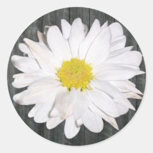 Rond Sticker en bois d'écorce et marguerite
