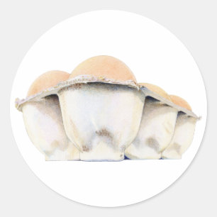 Rond Sticker en carton d'oeufs