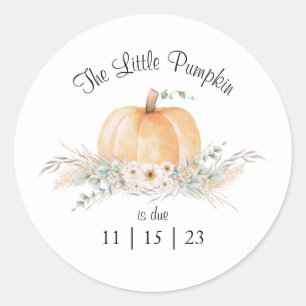 Rond Sticker en cercle petit Baby shower Citrouille