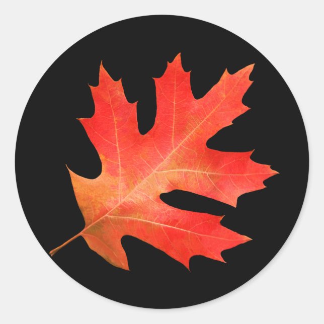 Rond Sticker en feuille de chêne rouge (Devant)