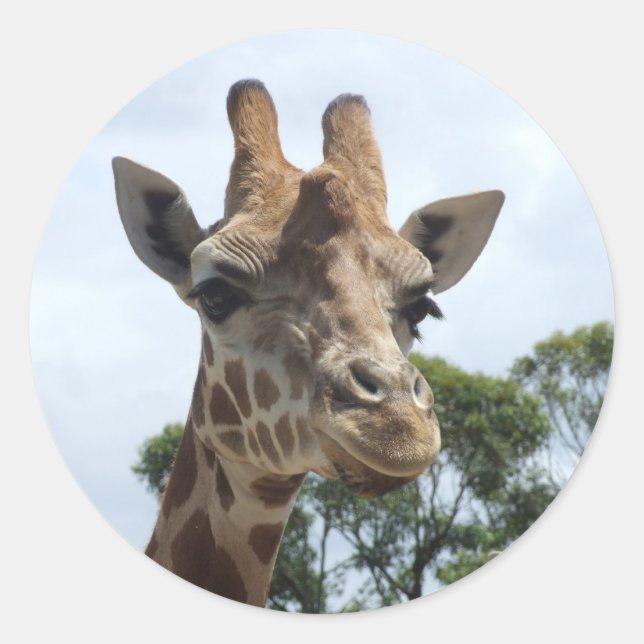 Rond Sticker en girafe - Arrondi (Devant)