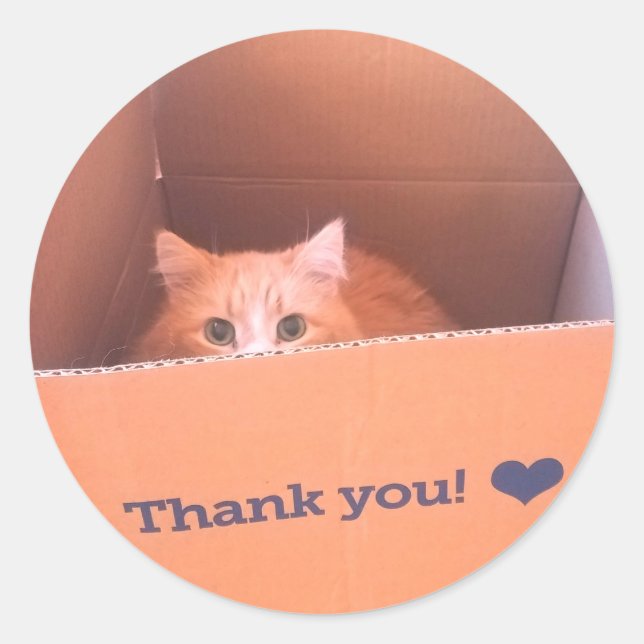 Rond Sticker en Merci de chat Diego (Devant)