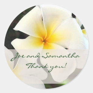 Rond Sticker en Merci de fleurs Plumeria blanc