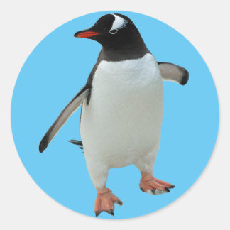 Rond Sticker en pingouin