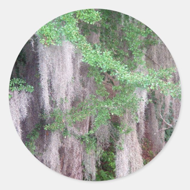 Rond Sticker espagnol Moss (Devant)