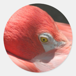 Rond Sticker Flamant rose