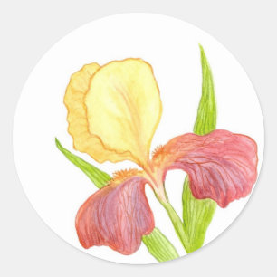 Rond Sticker Gold Top Iris