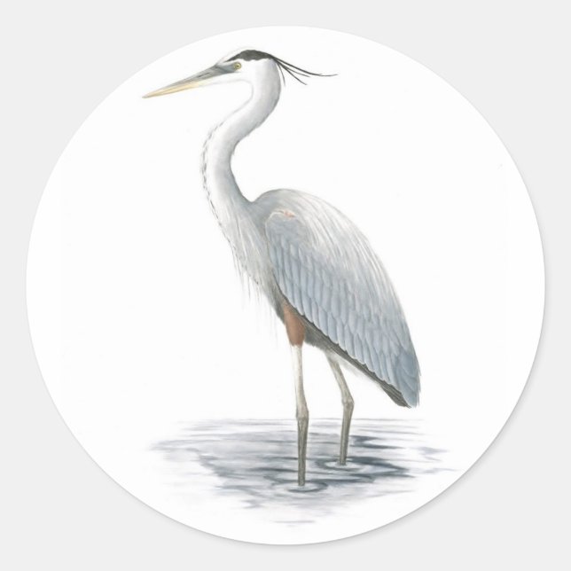 Rond Sticker Great Blue Heron (Devant)