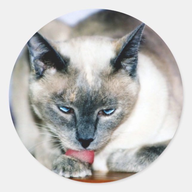 Rond Sticker Harmony Bath 4 (Devant)