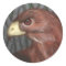 Sticker Hawk