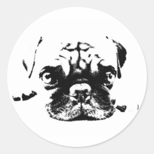Rond Sticker Hipster Vintage Carlin mignon