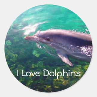 Rond Sticker I Love Dophins