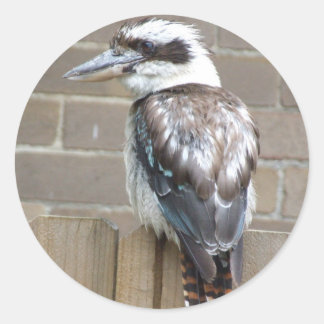 Rond Sticker Kookaburra