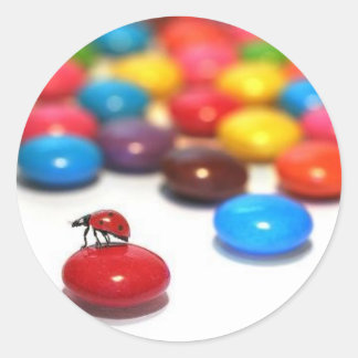 Rond Sticker Ladybug