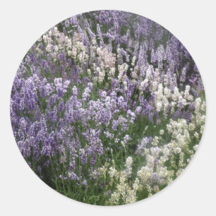 Rond Sticker Lavender Fields