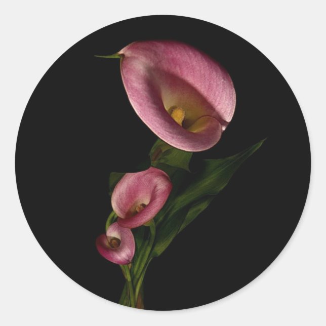 Rond Sticker Lilly (Devant)