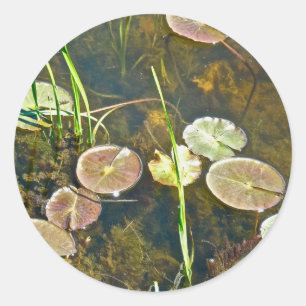 Rond Sticker Lily Pads
