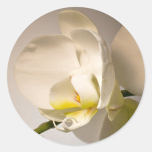 Rond Sticker Mariage de l'événement White Orchid Envelo