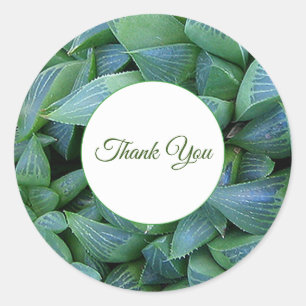 Rond Sticker Merci Plante Succulent de Green Haworth