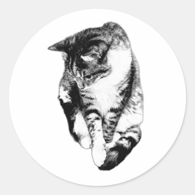 Rond Sticker Monochrome Tabby Cat (Devant)