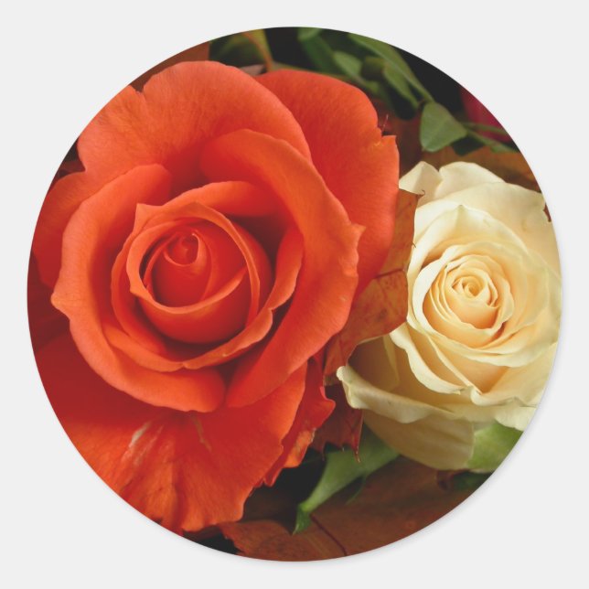 Rond Sticker multi-Roses (Devant)