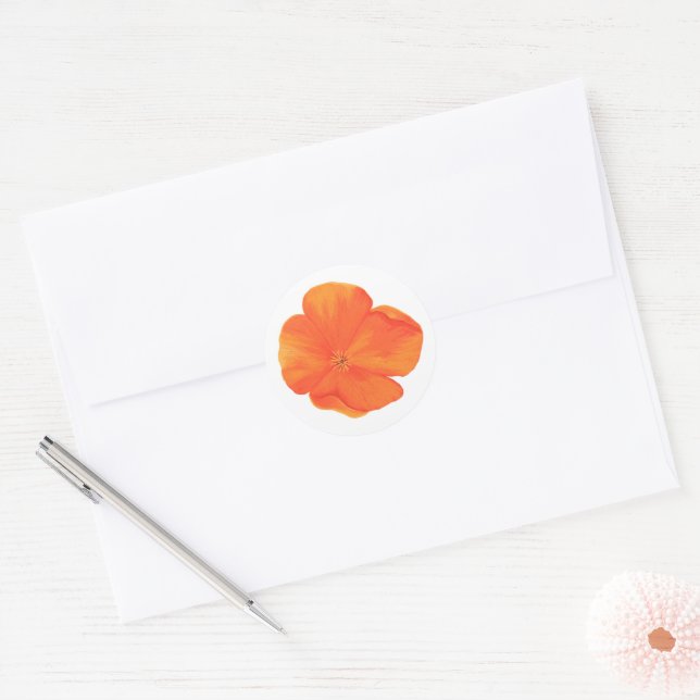 Rond Sticker Orange Fleur sauvage (Enveloppe)